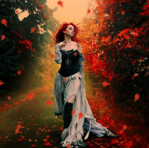 Ссылки осени