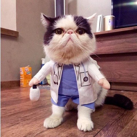 Годнота Aliexpress