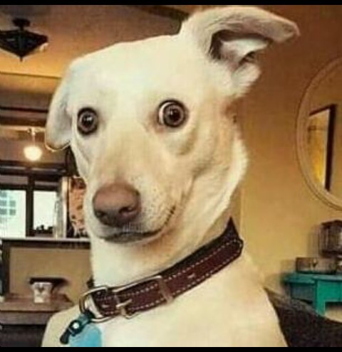 Наши стикеры