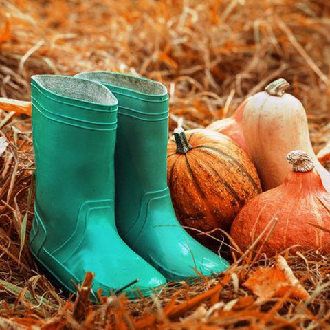 Agrocadabra Агрокадабра