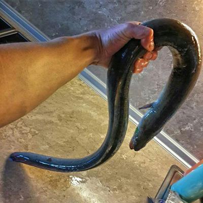 Подводная охота.