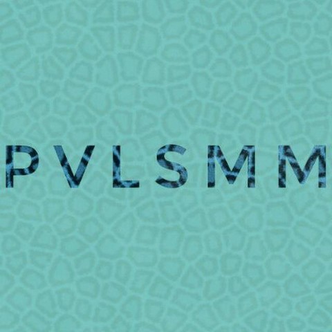 SMMщик Павел