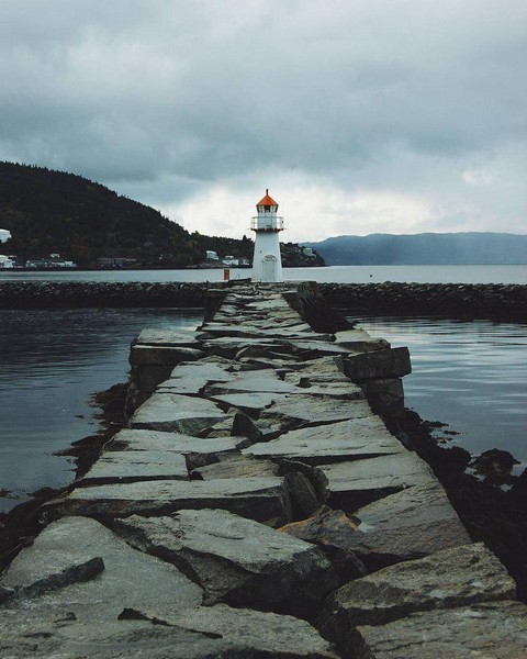 Лучшие фото