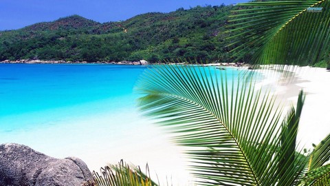 Работа и отдых