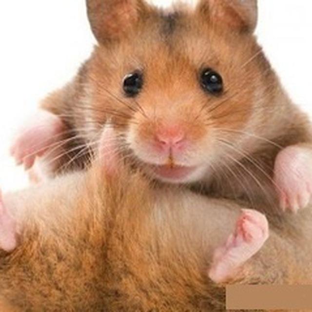 Шёпот про это...