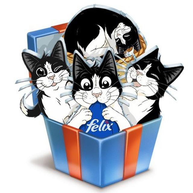 Бесплатные стикеры VK