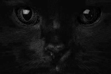 Мем в коварной темноте