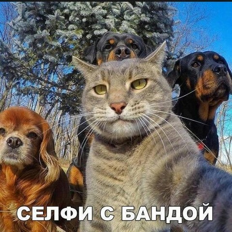 Для позитивных