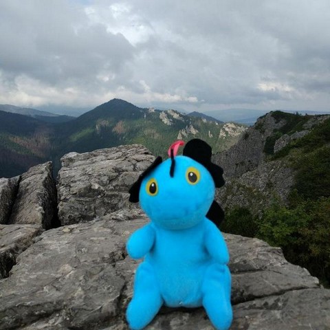 Мир глазами бедных путешественников.