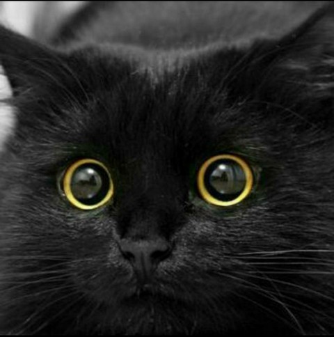 А что так можно