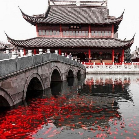 Ни хао! Покупки в Китае