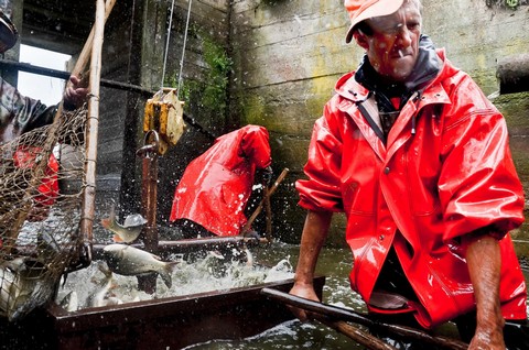 Репортажная фотография. Практика