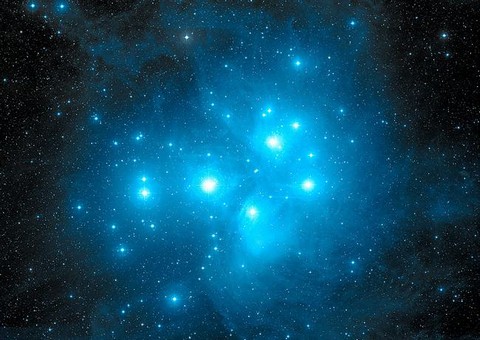 Типичный Плеядеанец