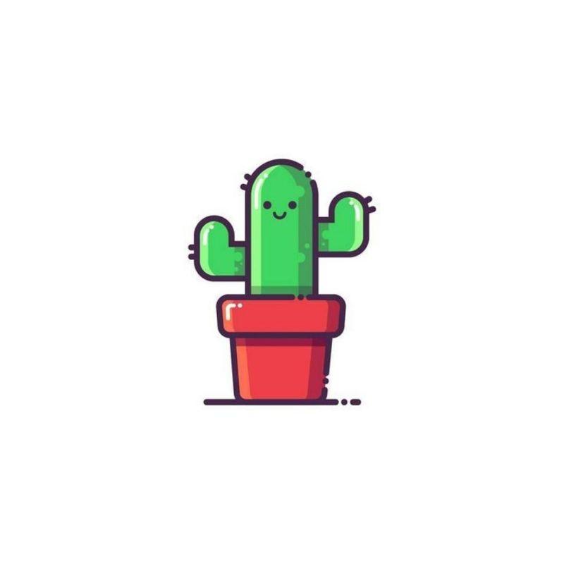 Cactus