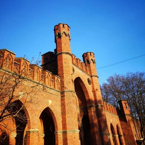 Калининград: друзья, встречи.