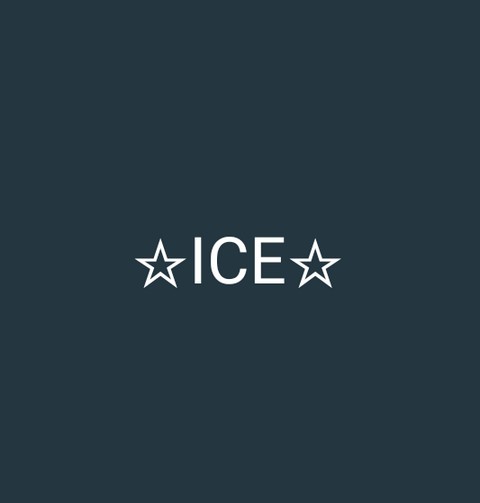 ☆ICE☆