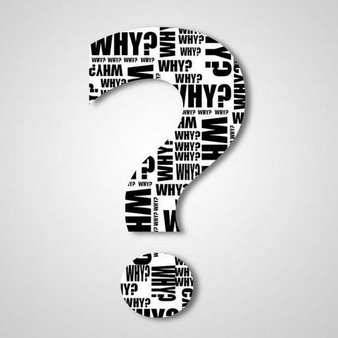 Why? — познавательные факты every day!