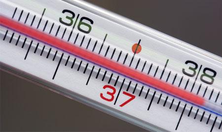 Все свои+Карантин