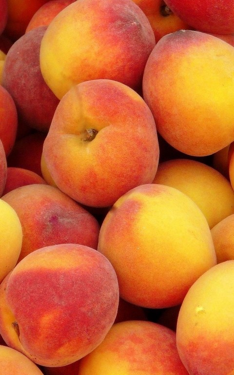 Укромный уголок