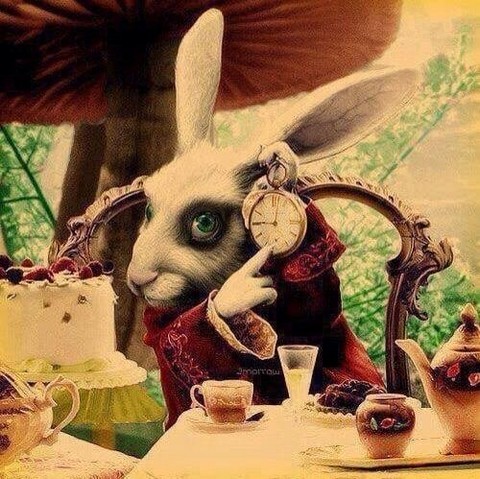 Страна Чудес