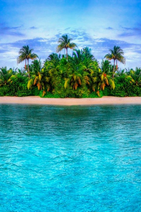 Остров манга