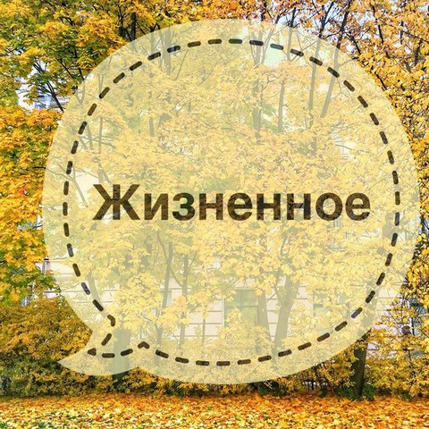Канал Жизненное