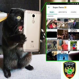 Видео Папка