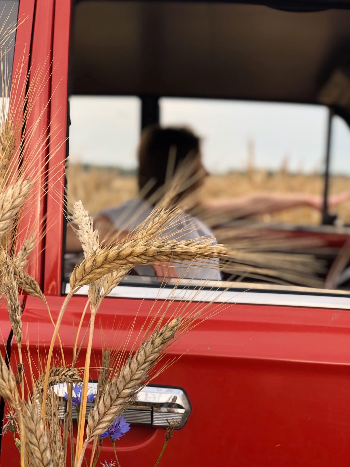 R A D Y К А Й Ф А