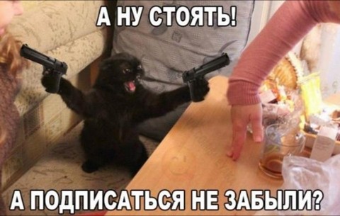 Юмор, общение, знакомства.