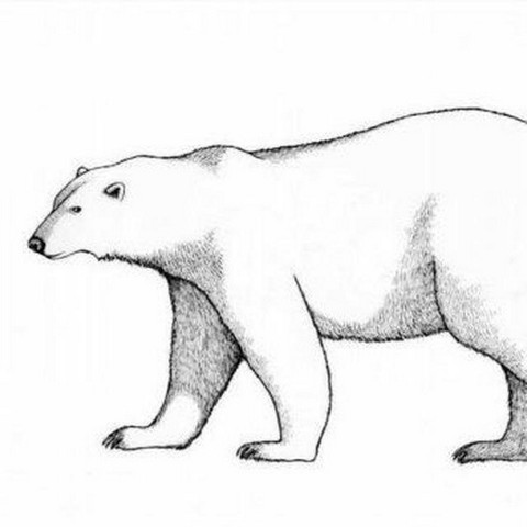 Скрытые смыслы