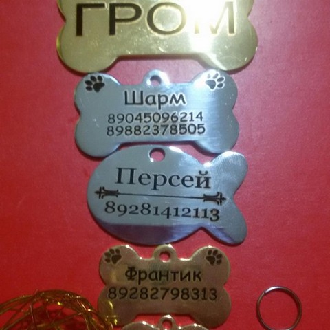 Адресники / поиск животных