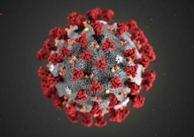 Коронавирус ДНР / COVID-19 / nCoV-2019