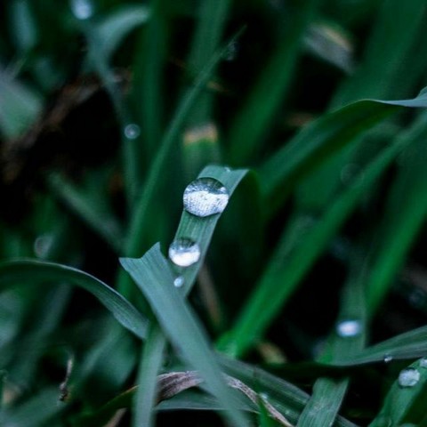 Дневник фотографа