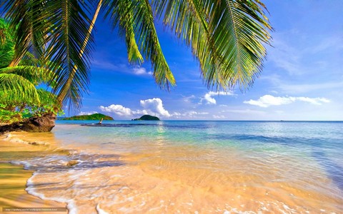 философия бизнеса