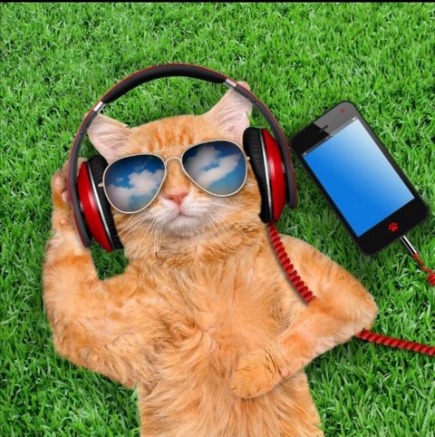 Кайфушники