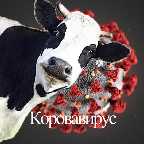 CovidMemes / Коронные шуточки