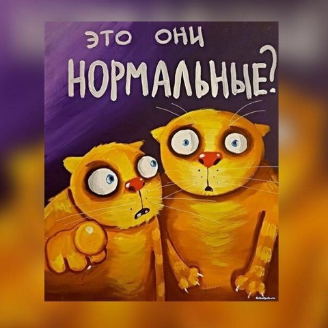 Видосы,юмор и т.д