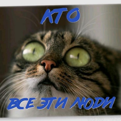 КТО ВСЕ ЭТИ ЛЮДИ?