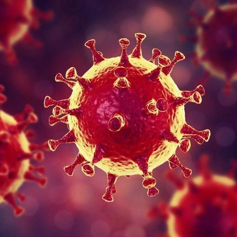 Коронавирус 2020