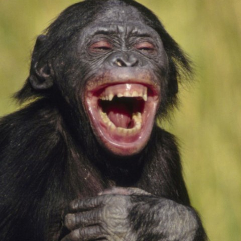 луДший чат для луДших