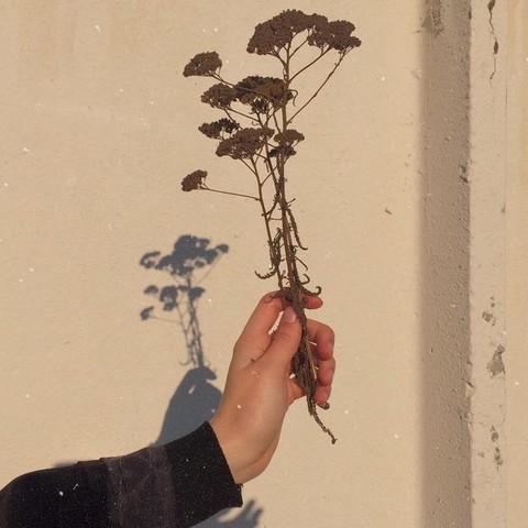 планы на это лето: