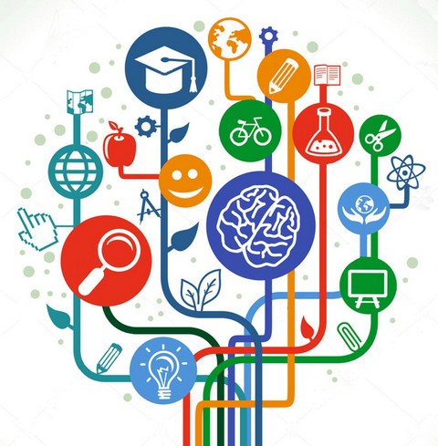 Познавательные подборки и рейтинги