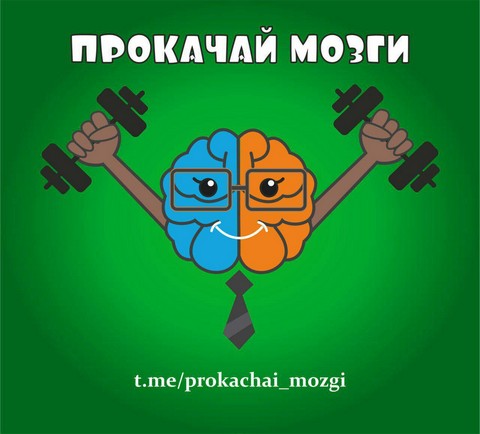 Прокачай мозги