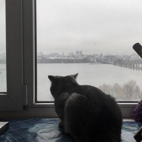 Раздражизнь