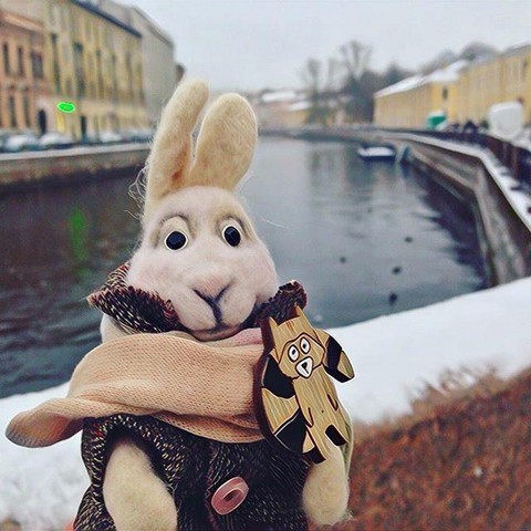 Заяц в Питере