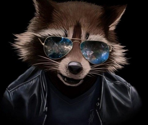 Мудрый енот