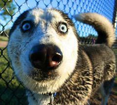 Творчество, юмор, новости и полезные советы.