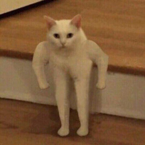 Тот самый мем