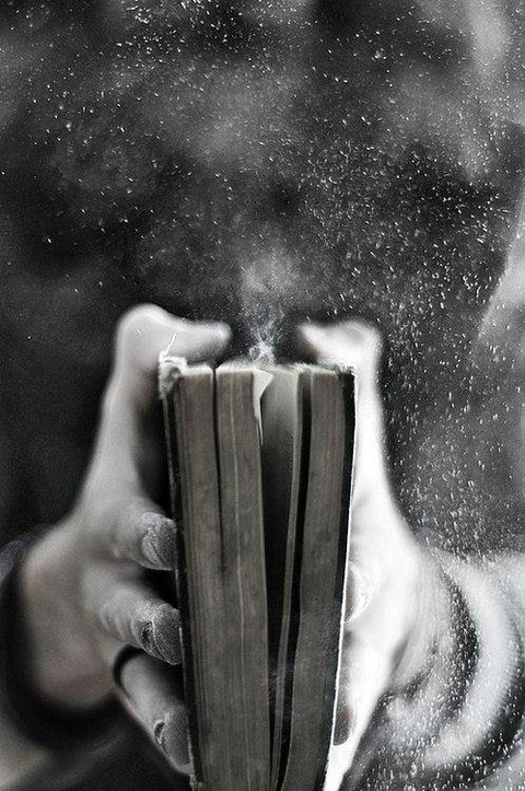 Лучшие стихи великих поэтов | Литература