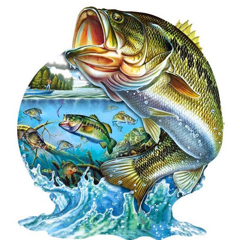 РЫБАЛКА навсегда